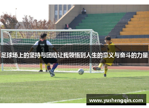 足球场上的坚持与团结让我领悟到人生的意义与奋斗的力量